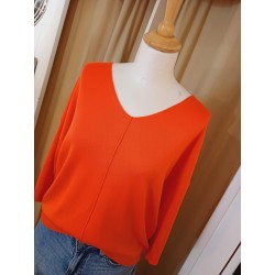 Pull Etymologie