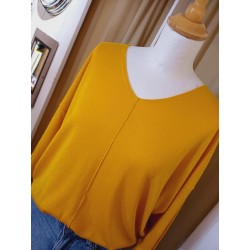 Pull Etymologie